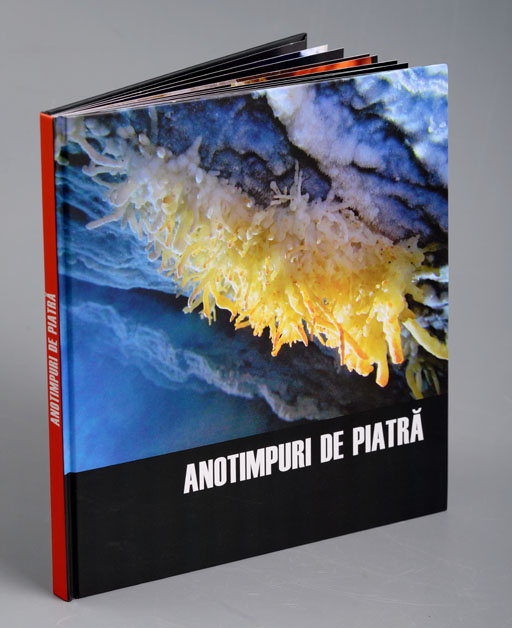 Bolți înflorite – fotografie, artist Radu Pop – Radu Pop – O Galerie de Artă