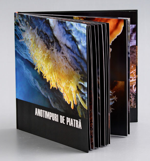 Aqvatelurica – fotografie, artist Radu Pop – Radu Pop – O Galerie de Artă