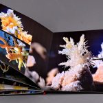 Aqvatelurica – fotografie, artist Radu Pop – Radu Pop – O Galerie de Artă