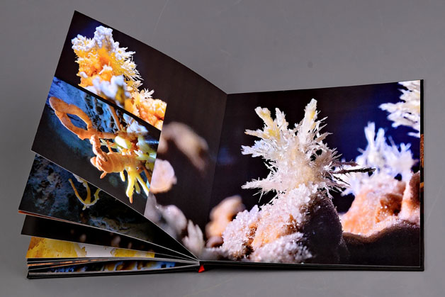 Aqvatelurica – fotografie, artist Radu Pop – Radu Pop – O Galerie de Artă