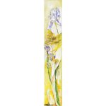 Iris IV – pictură în ulei, artistă Katalin Hajdu – Katalin Hajdu – O Galerie de Artă