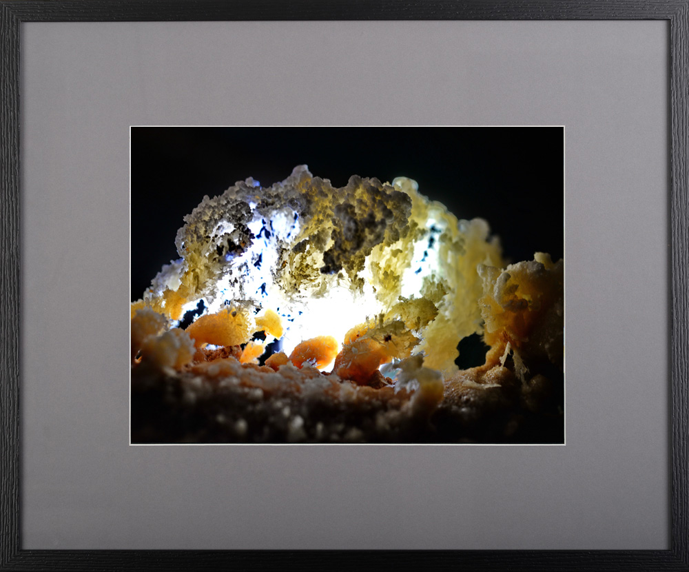 Cuib de înger – fotografie, artist Radu Pop – Radu Pop – O Galerie de Artă