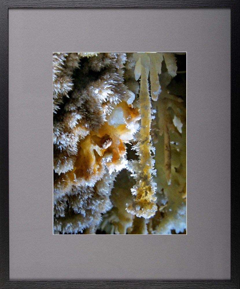 Exuberanțe – fotografie, artist Radu Pop – Radu Pop – O Galerie de Artă
