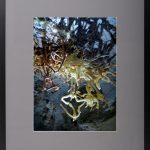 Grădinile ascunse – fotografie, artist Radu Pop – Radu Pop – O Galerie de Artă