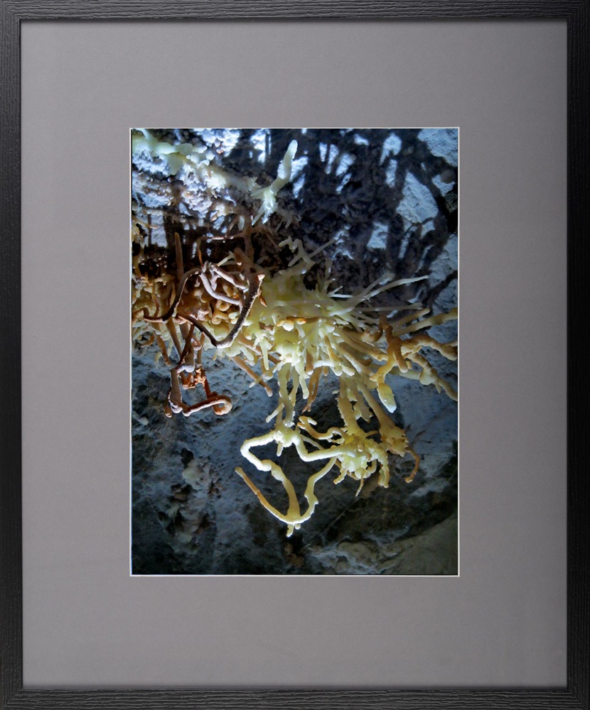 Grădinile ascunse – fotografie, artist Radu Pop – Radu Pop – O Galerie de Artă