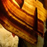 Harfa zânelor – fotografie, artist Radu Pop – Radu Pop – O Galerie de Artă