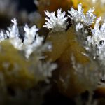 Muguri de piatră – fotografie, artist Radu Pop – Radu Pop – O Galerie de Artă