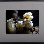 Muguri de piatră – fotografie, artist Radu Pop – Radu Pop – O Galerie de Artă