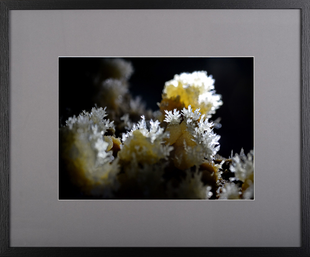 Muguri de piatră – fotografie, artist Radu Pop – Radu Pop – O Galerie de Artă