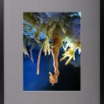 Șoapte minerale – fotografie, artist Radu Pop – Radu Pop – O Galerie de Artă