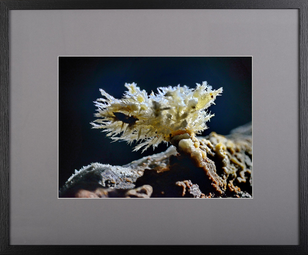 Straluciri în adâncuri – fotografie, artist Radu Pop – Radu Pop – O Galerie de Artă