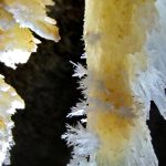 Transparențe – fotografie, artist Radu Pop – Radu Pop – O Galerie de Artă