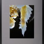 Transparențe – fotografie, artist Radu Pop – Radu Pop – O Galerie de Artă