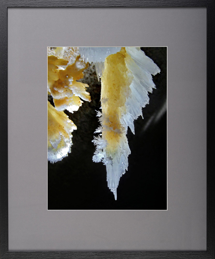 Transparențe – fotografie, artist Radu Pop – Radu Pop – O Galerie de Artă