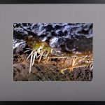 Zăpezi neștiute – fotografie, artist Radu Pop – Radu Pop – O Galerie de Artă