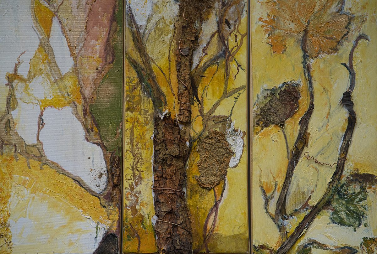 Vița de vie – pictură în ulei, artistă Katalin Hajdu – Katalin Hajdu – O Galerie de Artă