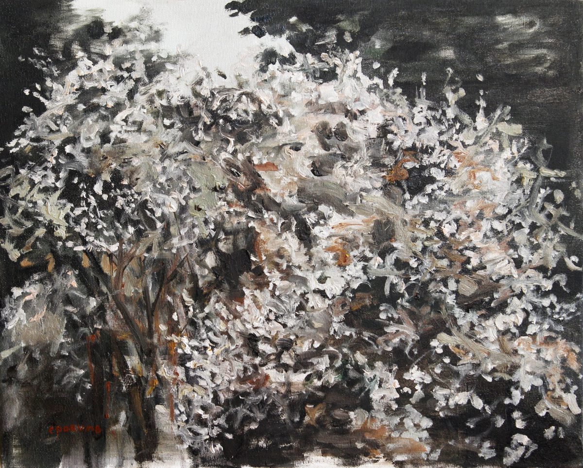 Copac înflorit 3 – pictură în ulei, artist Cristian Porumb – Cristian Porumb – O Galerie de Artă