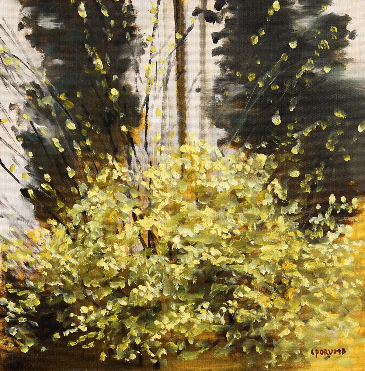 Copac înflorit 6 – pictură în ulei, artist Cristian Porumb – Cristian Porumb – O Galerie de Artă