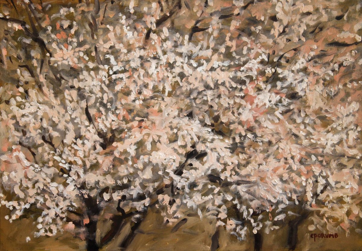 Copac înflorit 7 – pictură în ulei, artist Cristian Porumb – Cristian Porumb – O Galerie de Artă