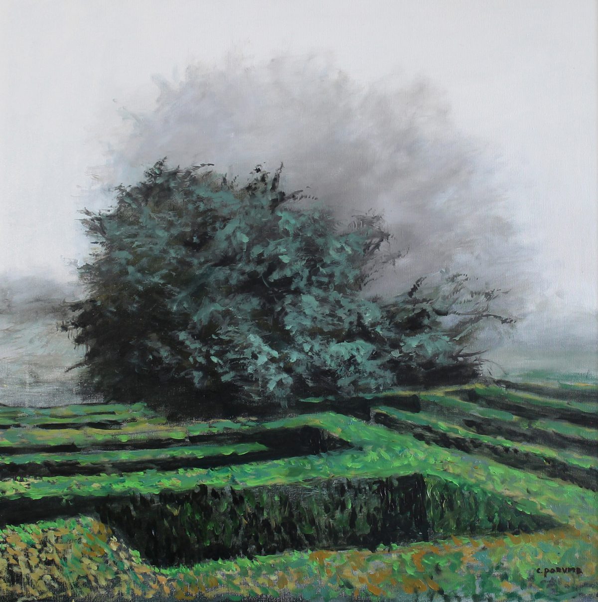 Dimineața în grădină 1 – pictură în ulei, artist Cristian Porumb – Cristian Porumb – O Galerie de Artă