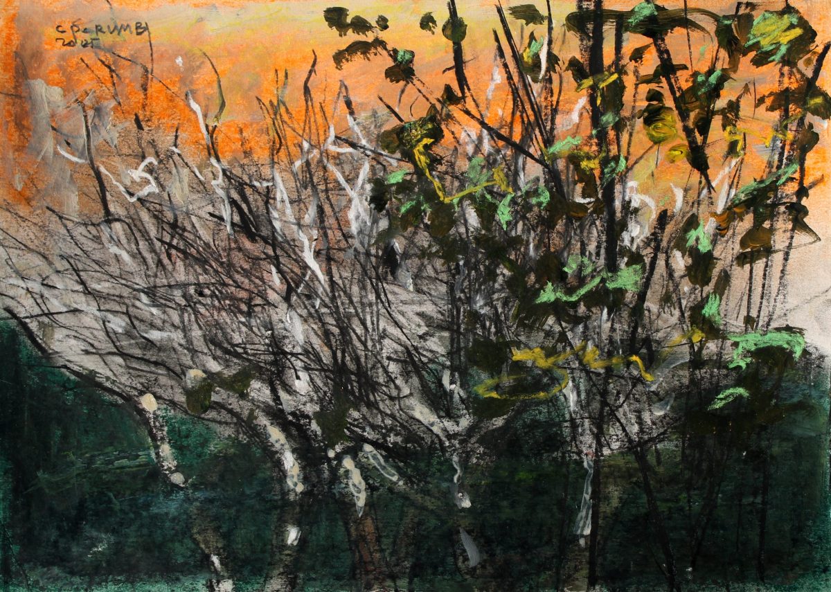 Germinatie 1 – tehnică mixtă, artist Cristian Porumb – Cristian Porumb – O Galerie de Artă