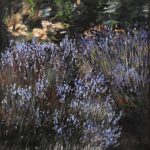 Lavanda 1 – pictură în ulei, artist Cristian Porumb – Cristian Porumb – O Galerie de Artă