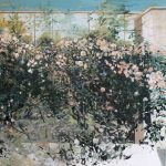 Tufa de trandafiri 1 – pictură în ulei, artist Cristian Porumb – Cristian Porumb – O Galerie de Artă