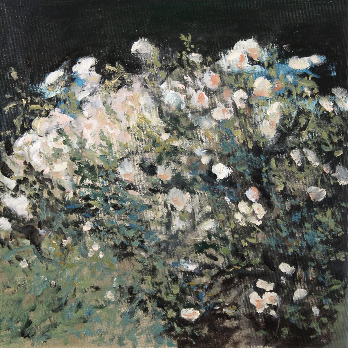 Tufa de trandafiri 3 – pictură în ulei, artist Cristian Porumb – Cristian Porumb – O Galerie de Artă