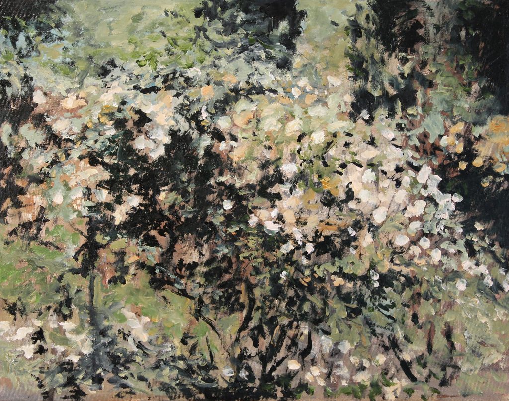 Tufa de trandafiri 4 – pictură în ulei, artist Cristian Porumb – Cristian Porumb – O Galerie de Artă
